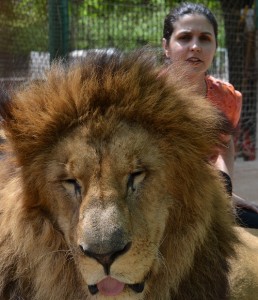 Ligia Buchfink - zoologico Lujan Buenos Aires zoologico-lujan-buenos-aires-2012 (144)